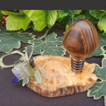 camphor burl